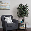 Vickerman 4' Artificial Capensia Bush, Black Plastic Pot. Image 1