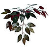 Vickerman 4' Artificial Capensia Bush, Black Plastic Pot. Image 2