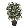 Vickerman 4' Artificial Capensia Bush, Brown Plastic Container Image 1
