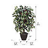 Vickerman 4' Artificial Capensia Bush, Brown Plastic Container Image 2
