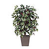 Vickerman 4' Artificial Capensia Bush, Brown Square Plastic Basket. Image 1
