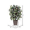 Vickerman 4' Artificial Capensia Bush, Brown Square Plastic Basket. Image 2
