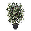 Vickerman 4' Artificial Capensia Bush, Gray Plastic Container Image 1