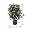Vickerman 4' Artificial Capensia Bush, Gray Plastic Container Image 1