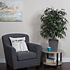 Vickerman 4' Artificial Capensia Bush, Gray Square Plastic Container Image 1