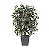Vickerman 4' Artificial Capensia Bush, Gray Square Plastic Container Image 2