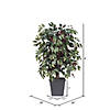Vickerman 4' Artificial Capensia Bush, Gray Square Plastic Container Image 3