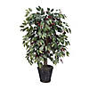 Vickerman 4' Artificial Capensia Bush, Rattan Basket Image 1