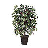 Vickerman 4' Artificial Capensia Bush, Square Willow Basket Image 1