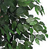 Vickerman 4' Artificial Ficus Bush, Black Plastic Pot Image 2
