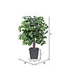 Vickerman 4' Artificial Ficus Bush, Gray Square Plastic Container Image 1