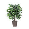 Vickerman 4' Artificial Ficus Bush, Square Brown Plastic Container Image 1