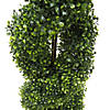 Vickerman 4' Artificial Green Boxwood Double Spiral Topiary, Black Plastic Pot Image 3