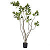 Vickerman 4' Artificial Green Potted Cotinus Coggygria Tree Image 1