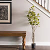 Vickerman 4' Artificial Green Potted Cotinus Coggygria Tree Image 1