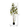 Vickerman 4' Artificial Green Potted Cotinus Coggygria Tree Image 2