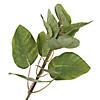 Vickerman 4' Artificial Green Potted Cotinus Coggygria Tree Image 3