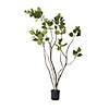 Vickerman 4' Artificial Green Potted Cotinus Coggygria Tree Image 4