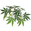 Vickerman 4' Artificial Japanese Maple Bush, Square Willow Basket Image 2