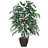 Vickerman 4' Artificial Mango Bush, Brown Plastic Container Image 1