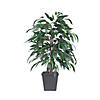 Vickerman 4' Artificial Mango Bush, Gray Square Plastic Container Image 1