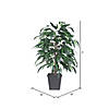 Vickerman 4' Artificial Mango Bush, Gray Square Plastic Container Image 2