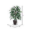 Vickerman 4' Artificial Mango Bush, Square Willow Basket Image 3