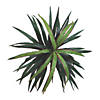Vickerman 4' Artificial Marginata Bush in Black Pot Image 1