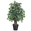 Vickerman 4' Artificial Ming Aralia Bush, Rattan Basket Image 1