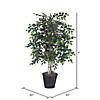 Vickerman 4' Artificial Mini Ficus Bush, Rattan Basket Image 2