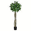 Vickerman 4'  Artificial Potted Bay Leaf Topiary Image 1