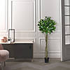 Vickerman 4'  Artificial Potted Bay Leaf Topiary Image 1