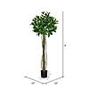 Vickerman 4'  Artificial Potted Bay Leaf Topiary Image 2