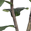 Vickerman 4' Artificial Potted Fiddle Tree Image 3