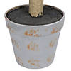 Vickerman 4' Artificial Potted Fiddle Tree Image 4