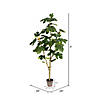 Vickerman 4' Artificial Potted Fig Tree Image 3