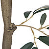 Vickerman 4' Artificial Potted Olive Tree Image 3