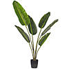 Vickerman 4' Artificial Potted Travellers Palm Tree Image 1