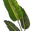 Vickerman 4' Artificial Potted Travellers Palm Tree Image 2