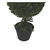Vickerman 4'  Artificial Triple Ball Green Boxwood Topiary - UV Resistant Image 3