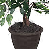 Vickerman 4' Artificial Variegated Ficus Bush, Brown Plastic Container. Image 2