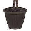 Vickerman 4' Artificial Variegated Ficus Bush, Brown Plastic Container. Image 3