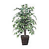 Vickerman 4' Artificial Variegated Ficus Bush, Square Willow Basket Image 1