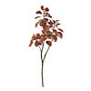 Vickerman 4' Cotinus Coggygria Branch - Red Image 1