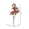 Vickerman 4' Cotinus Coggygria Branch - Red Image 2