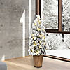 Vickerman 4' Flocked Kimball Potted Pine Artificial Christmas Tree, Warm White Dura-lit LED Lights Image 2