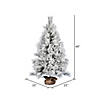 Vickerman 4' Frosted Beckett Pine Artificial Christmas Tree Image 1