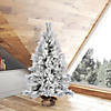 Vickerman 4' Frosted Beckett Pine Artificial Christmas Tree Image 2