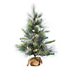 Vickerman 4' Frosted Myers Pine Artificial Christmas Tree, Unlit Image 1