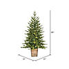 Vickerman 4' Gibson Slim Potted Pine Artificial Christmas Tree, Warm White Dura-lit LED Lights Image 2